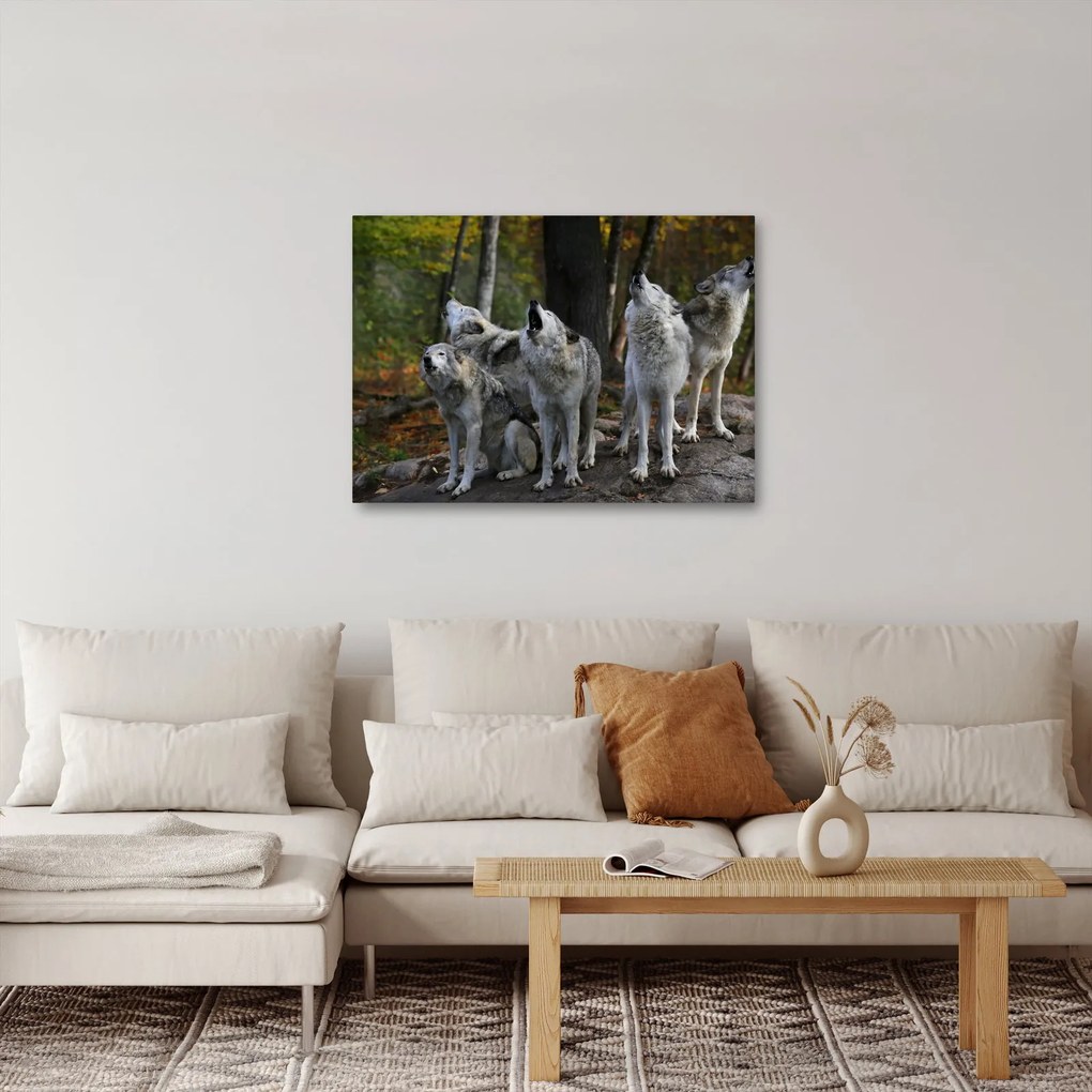 Kép - Farkasok a sziklán (70x50 cm)