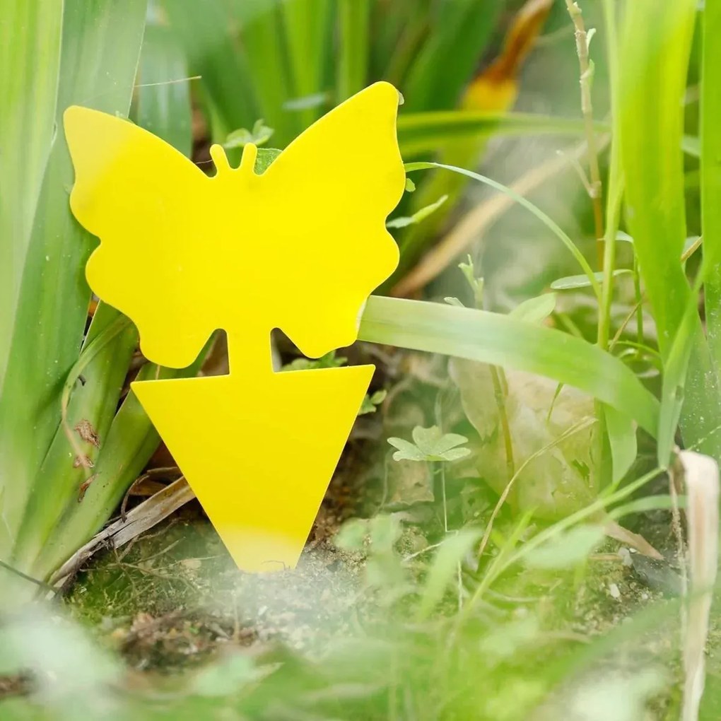 Rovarcsapda - ragadós pillangó