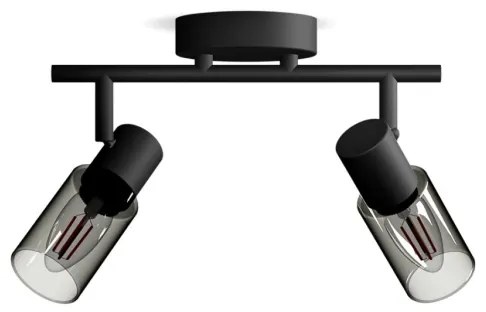 Philips - Spotlámpa PALMS 2xE14/25W/230V