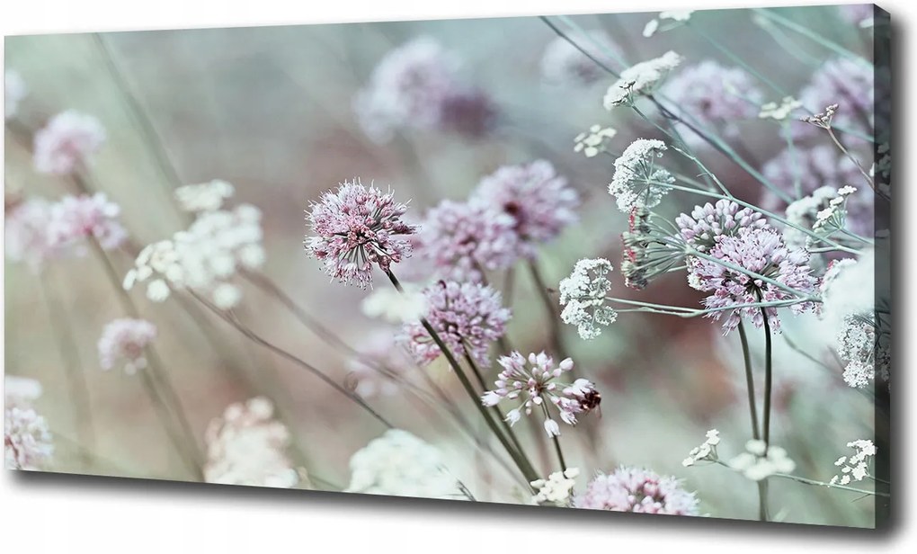 Vászonkép Vad virágok 100x70 cm