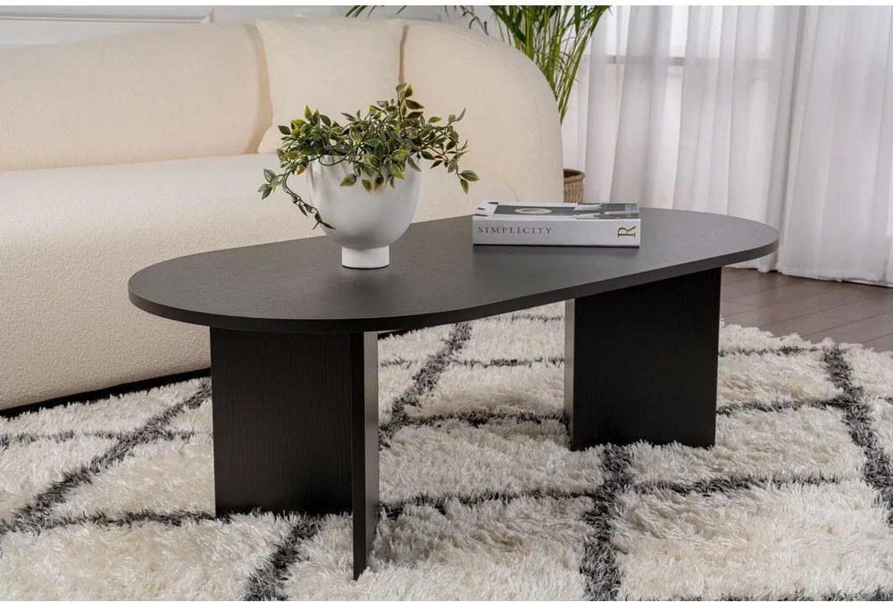 Fekete matt dohányzóasztal 60x119 cm Sable – Kalune Design