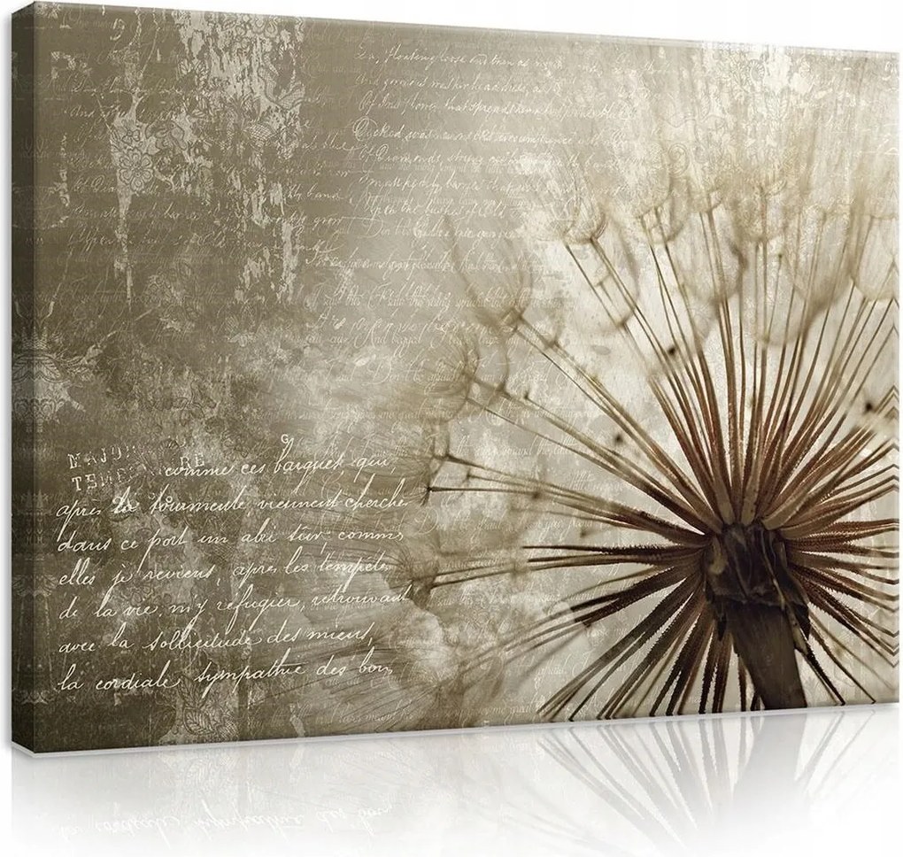 Vászonkép pitypang falikép 100x75