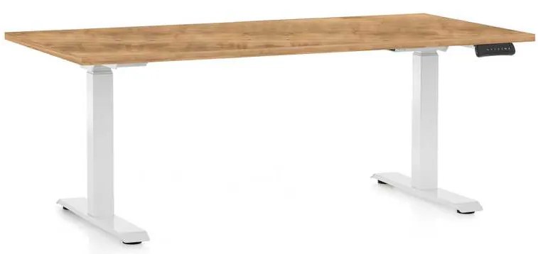 OfficeTech D állítható magasságú asztal, 160 x 80 cm, fehér alap, arany tölgy