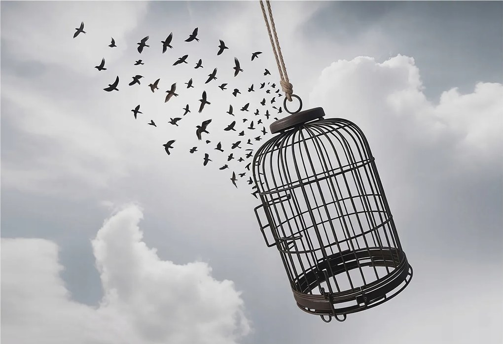 Fotótapéta Flizelin Dekoratív tapéta Repülő madarak 152x104 Ragasztó