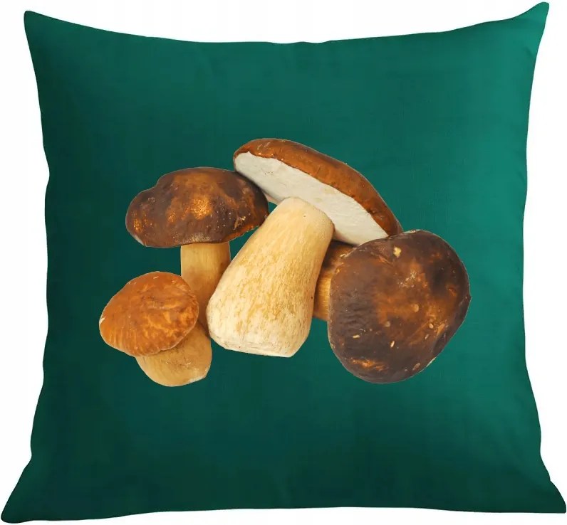 Párna+párnahuzat Ajándék gombászoknak