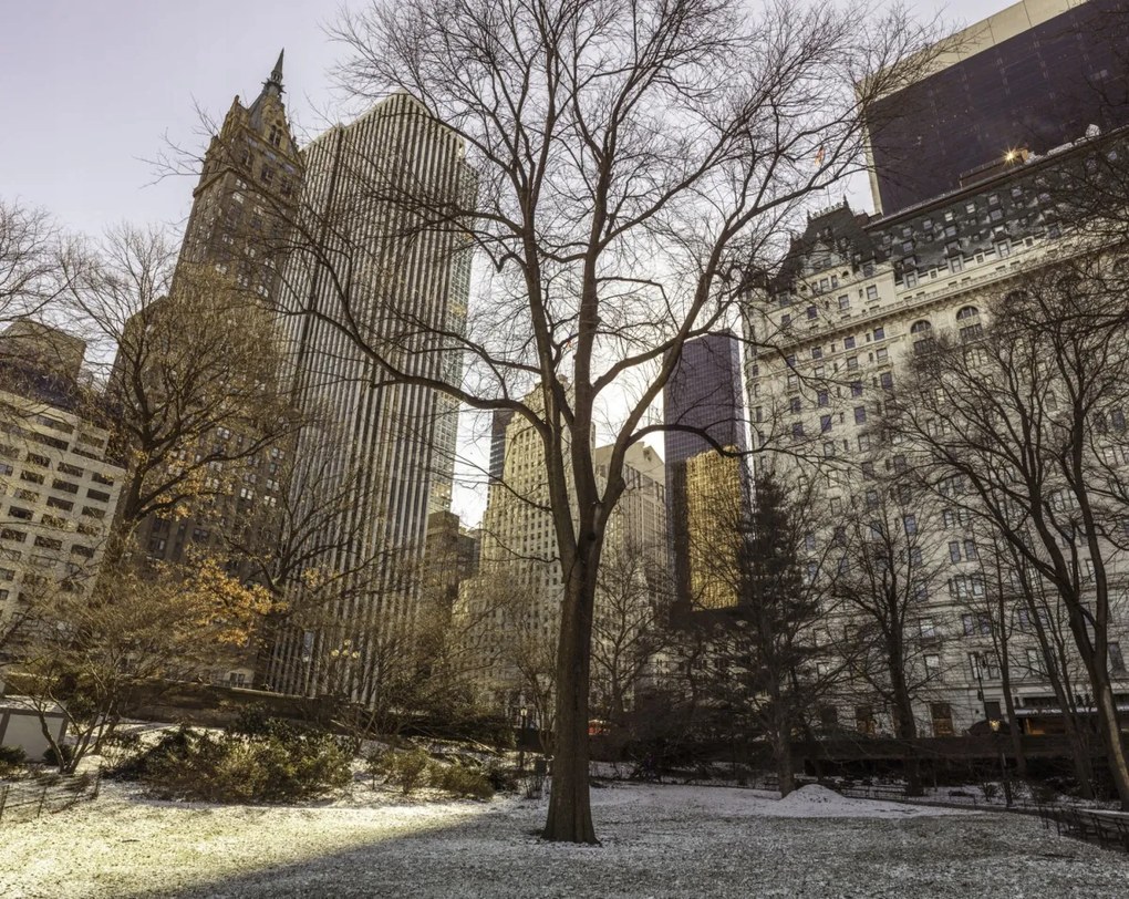 Poszter 76x60,5cm Központi park panorámával Alsó-Manhattan 2, Assaf Fran