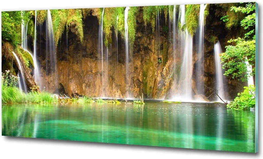 Fotó üvegkép Fa a tengerparton 125x50