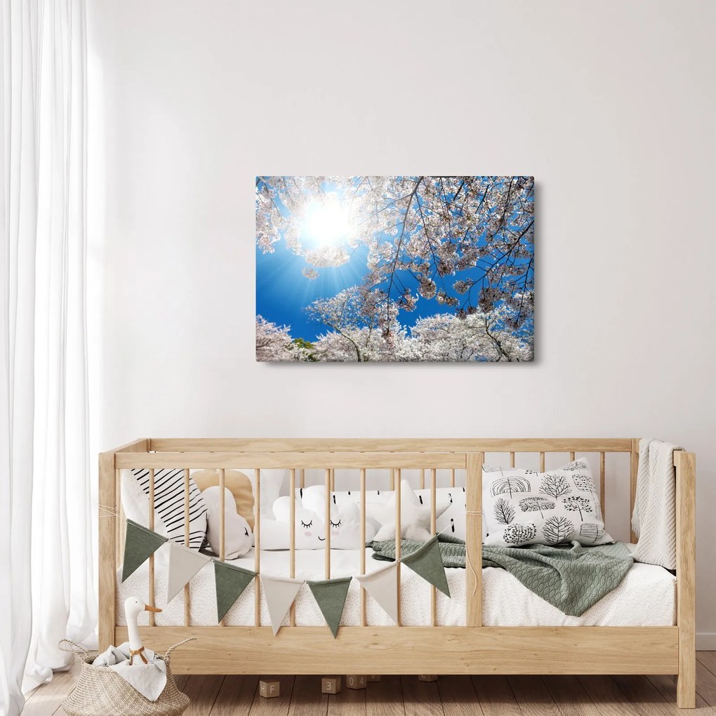 Kép - Cseresznyevirág (90x60 cm)