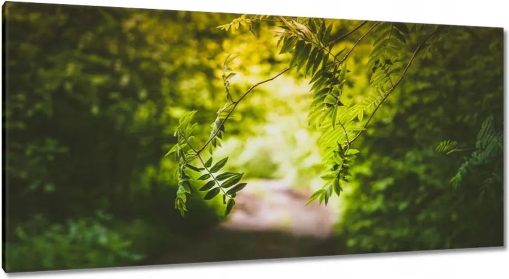 Vászonkép 115x55 Zöld levelek Levelek