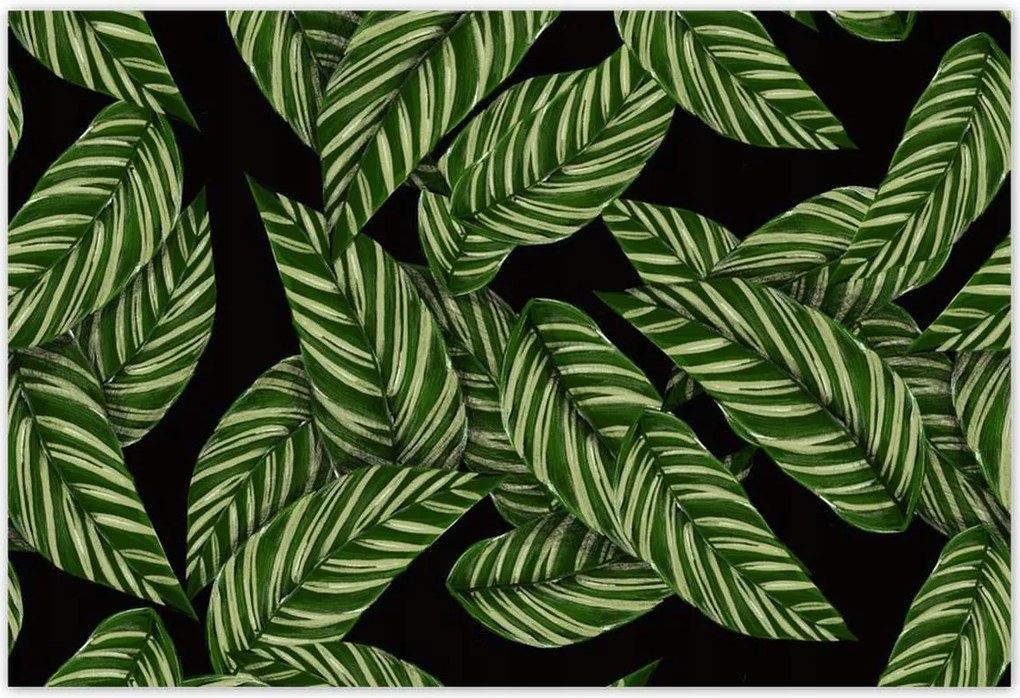 Poszterek 155x105 Zöld levelek Trópusok