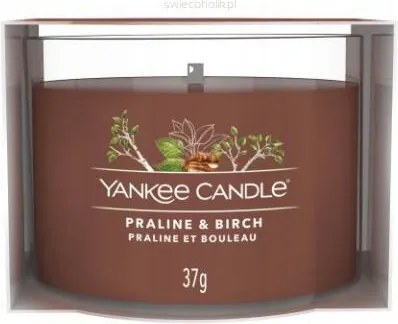 Praline & Birch Yankee Candle mini gyertya