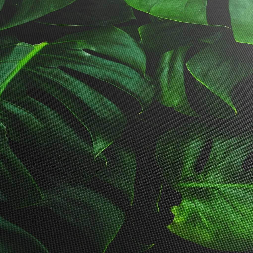 Monstery levelek képe (120x50 cm)
