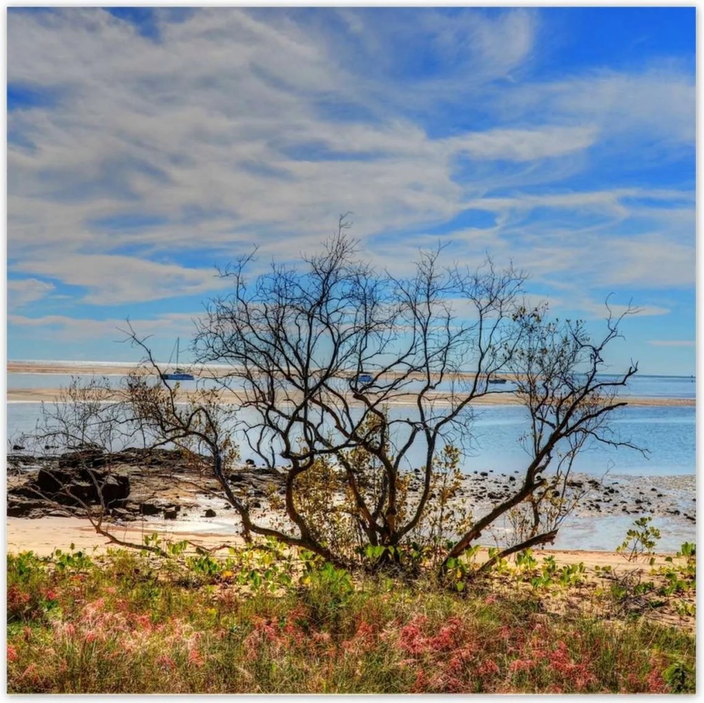 Poszterek 140x140 Kilátás a tengerpartról