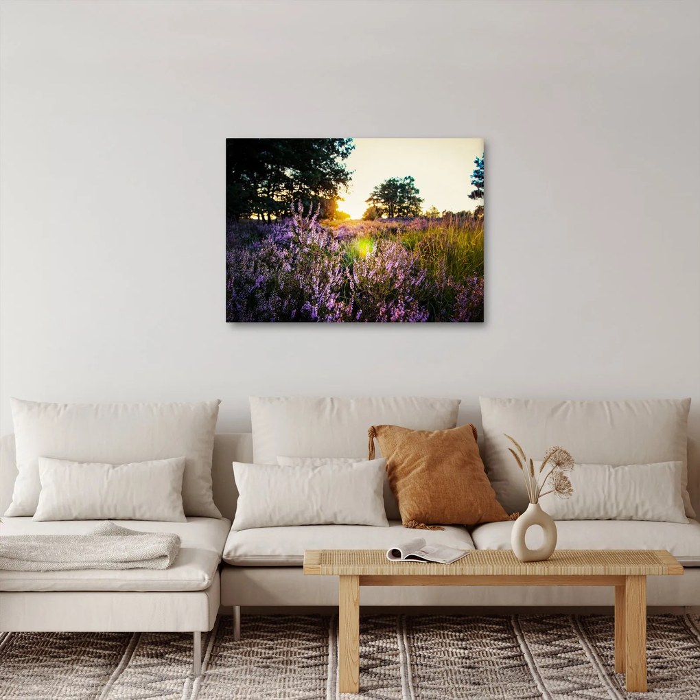 Egy levendulamező képe (70x50 cm)