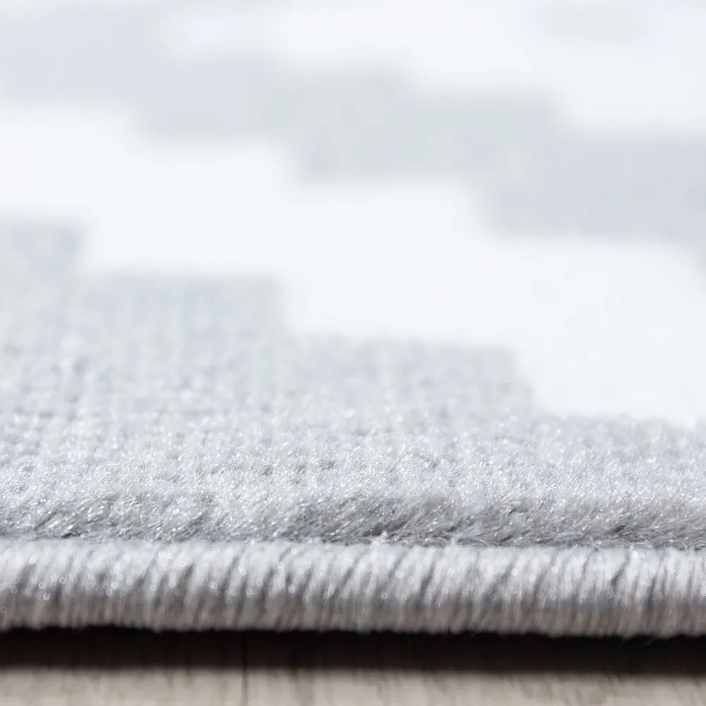 Világosszürke szőnyeg 160x230 cm Plus – Ayyildiz Carpets