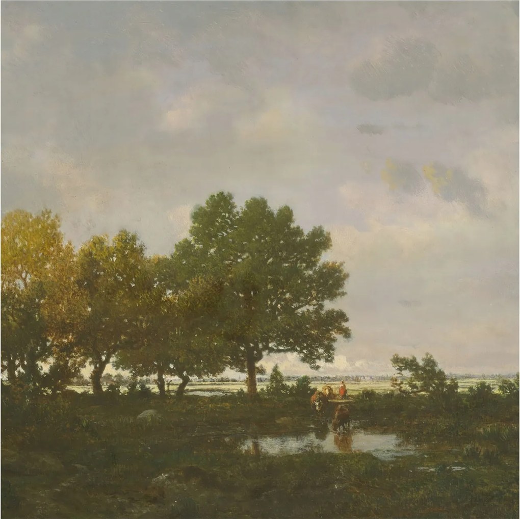 Flizelin fotótapéta Flizelin Designer Erdei tájkép 250x250 Ragasztó