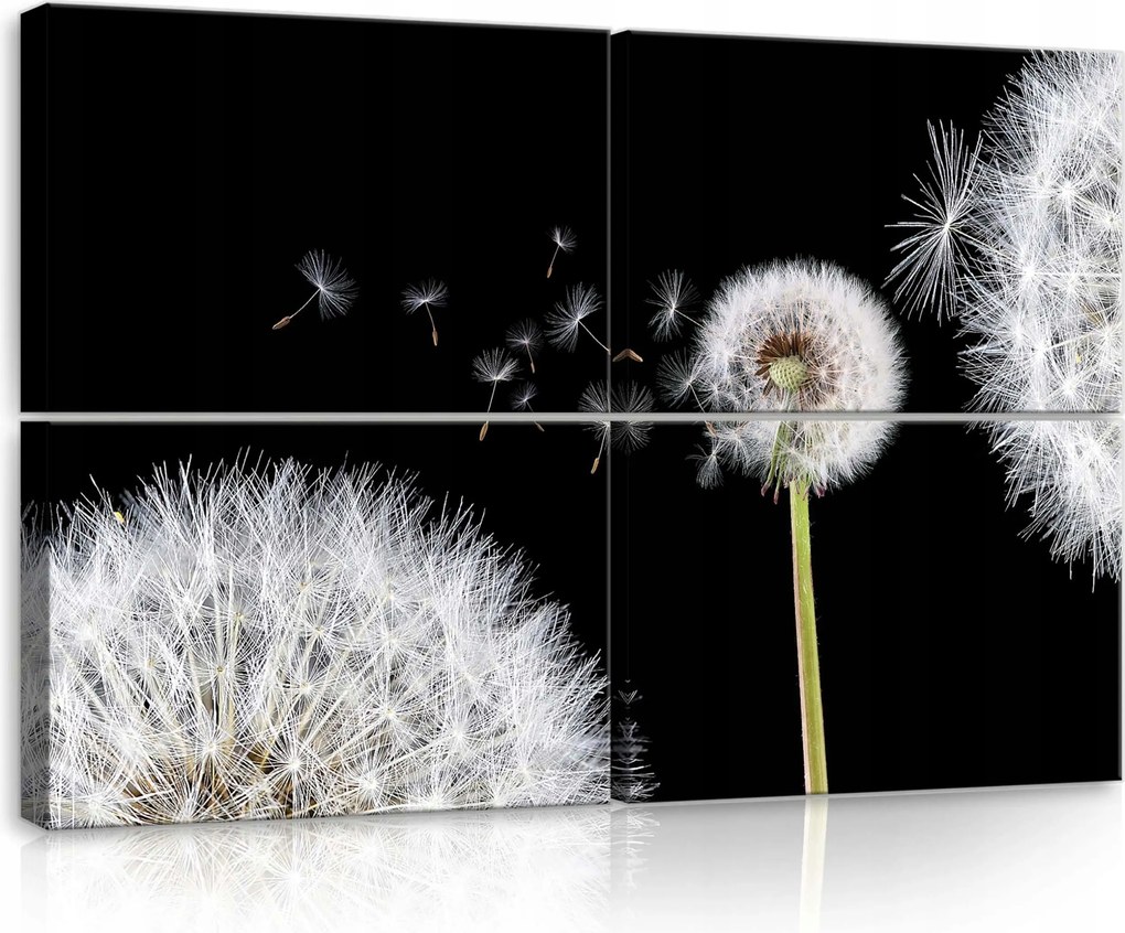 Vászonkép 120x80 Pitypang mag pitypang természet makro könnyedség nyár