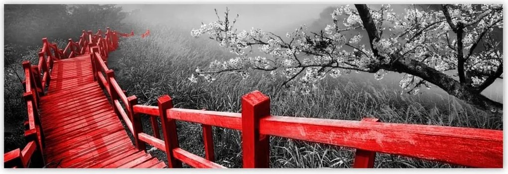 Poszterek 200x66 Virágzó cseresznye Japán