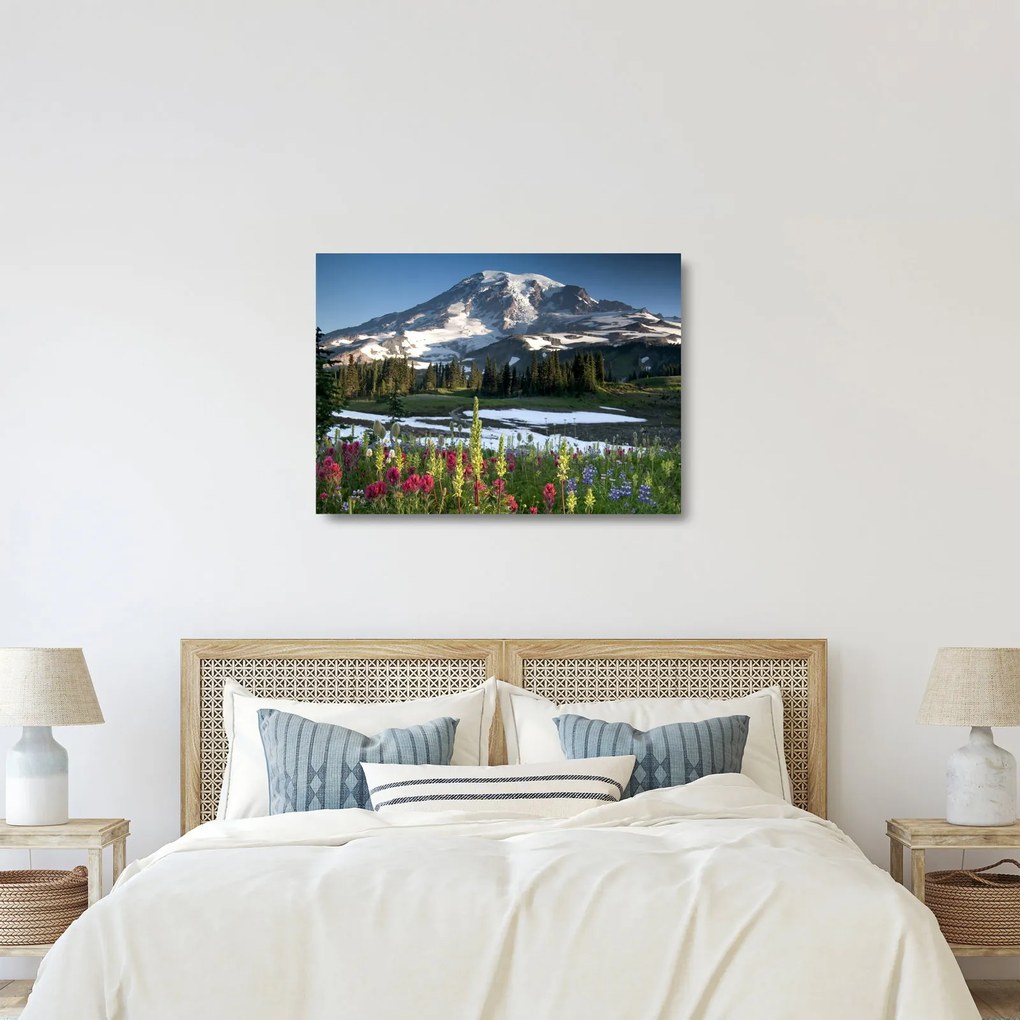 Üveg kép - Mount Rainier (70x50 cm)