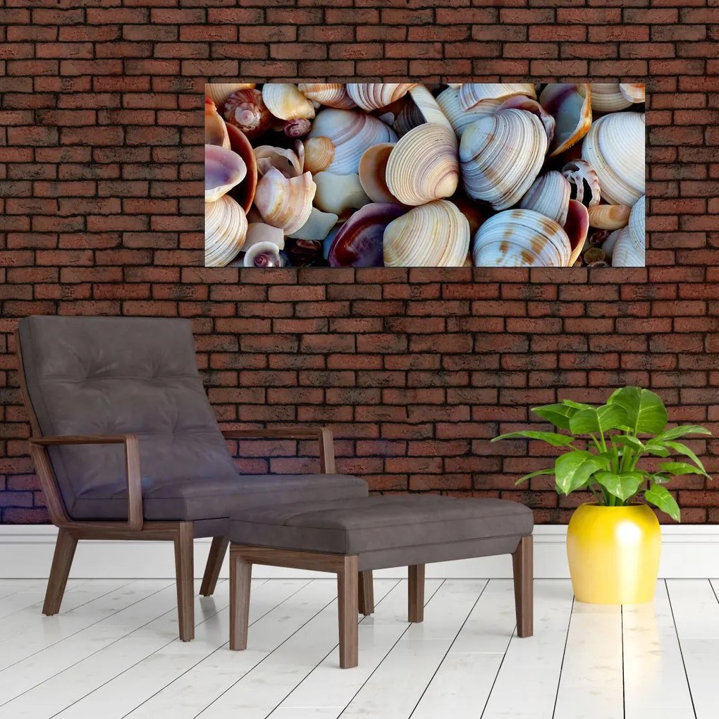 Kagyló képe (120x50 cm)