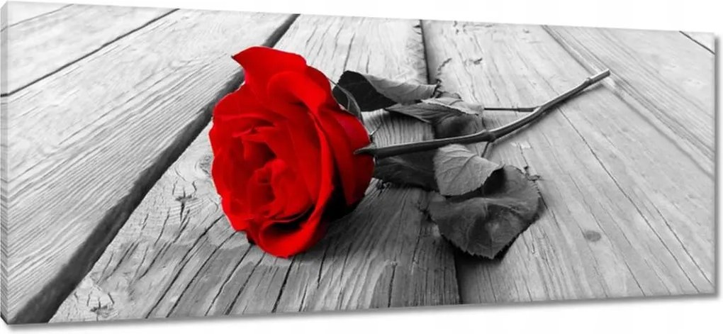 Vászonkép 100x40 Rózsa ajándék Valentin napra