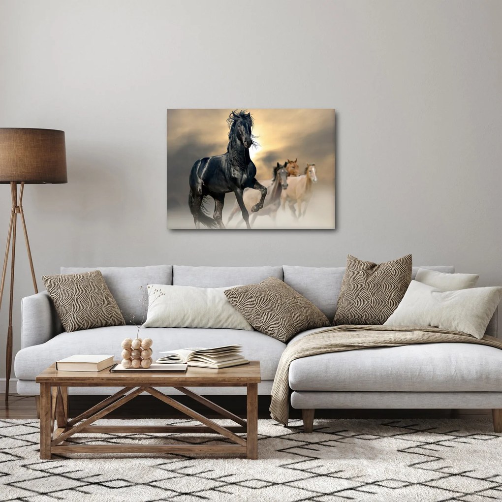 Kép - Lovak (70x50 cm)