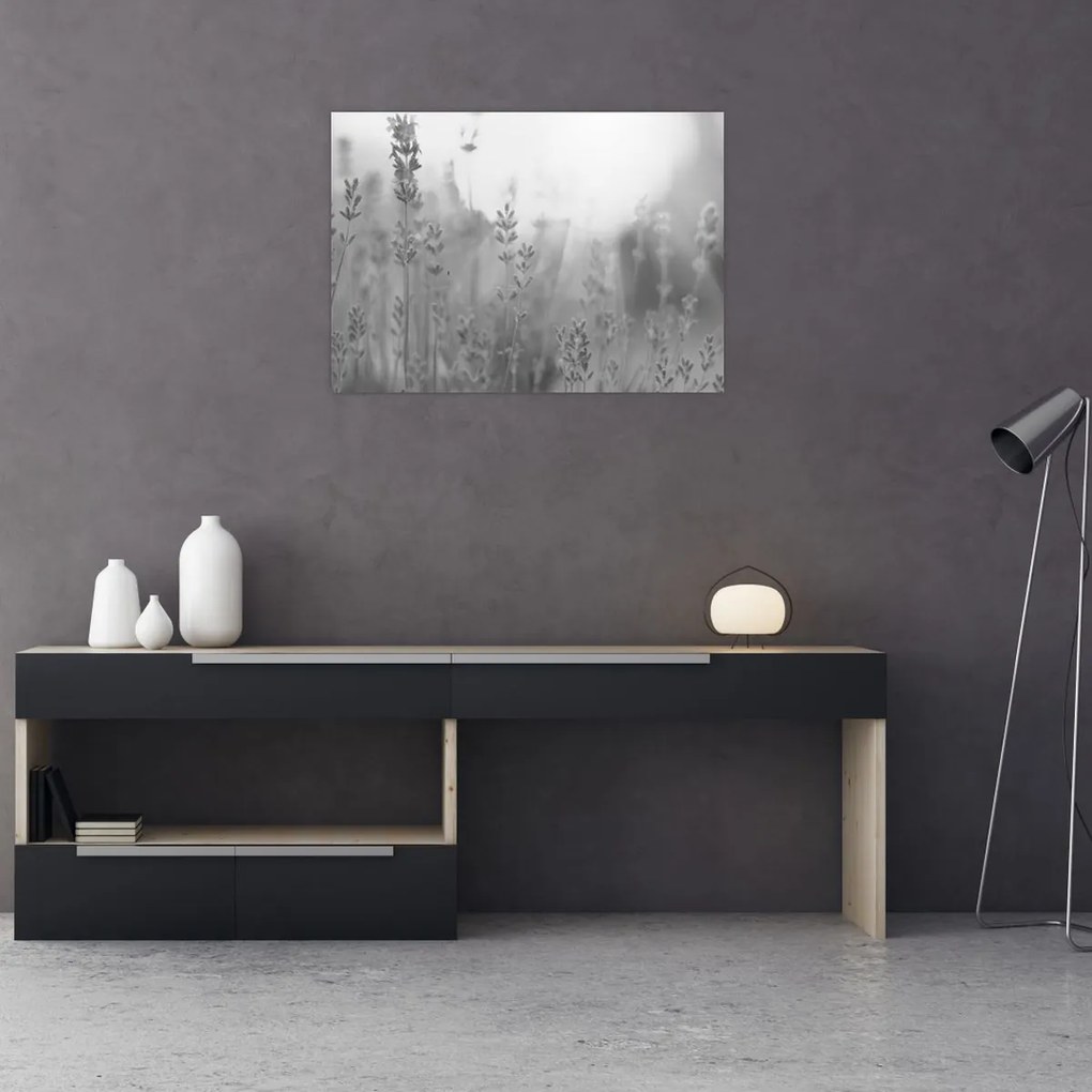 Üveg kép - Levendula (70x50 cm)