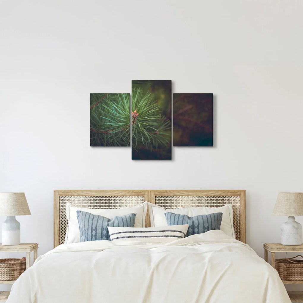 Kép - Fenyőfa részlete (90x60 cm)