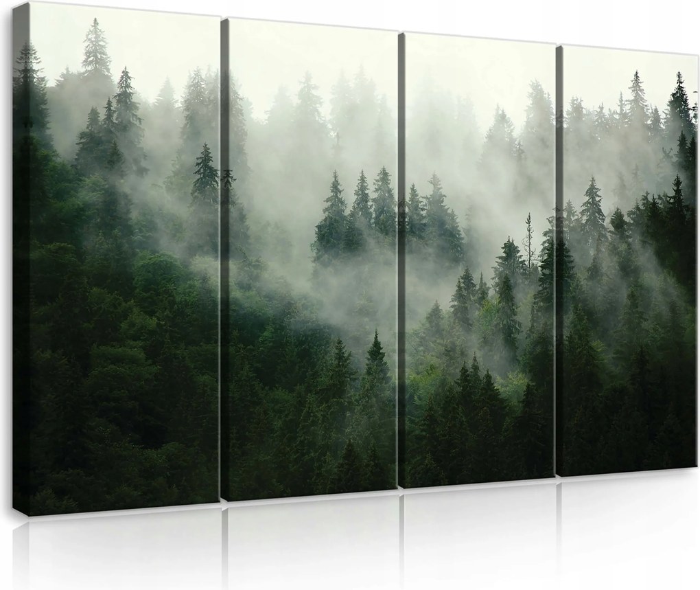 Vászonkép 120x80 Ködös erdő tűlevelű erdő természet misztika nyugalom csend