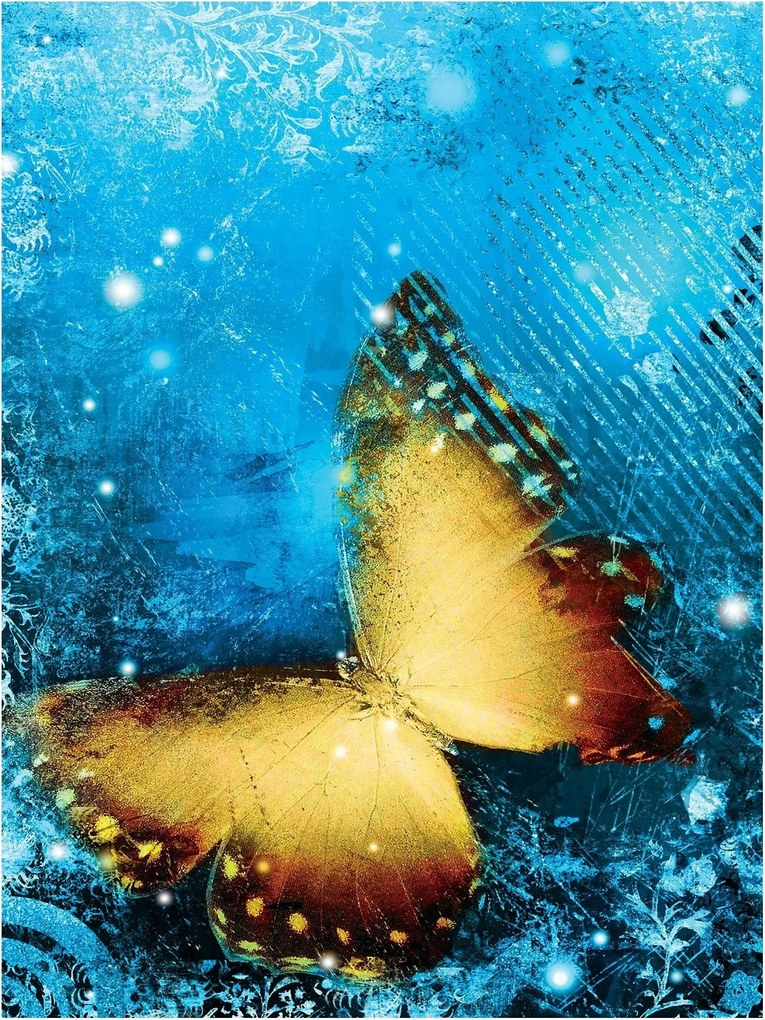 Fotótapéta színes pillangók fotótapéta 206 x 275