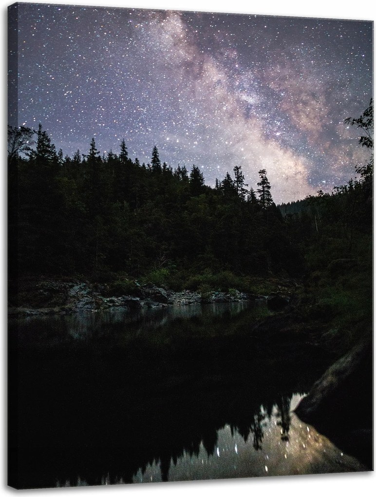 Vászonkép Kozmosz Ég a tóparton 30x40