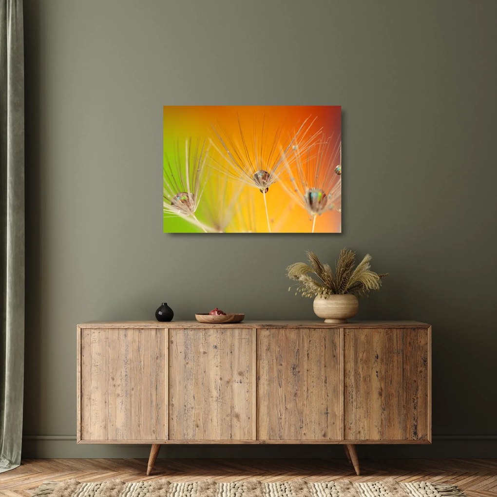 Cseppek a növényen képe (üvegen) (70x50 cm)