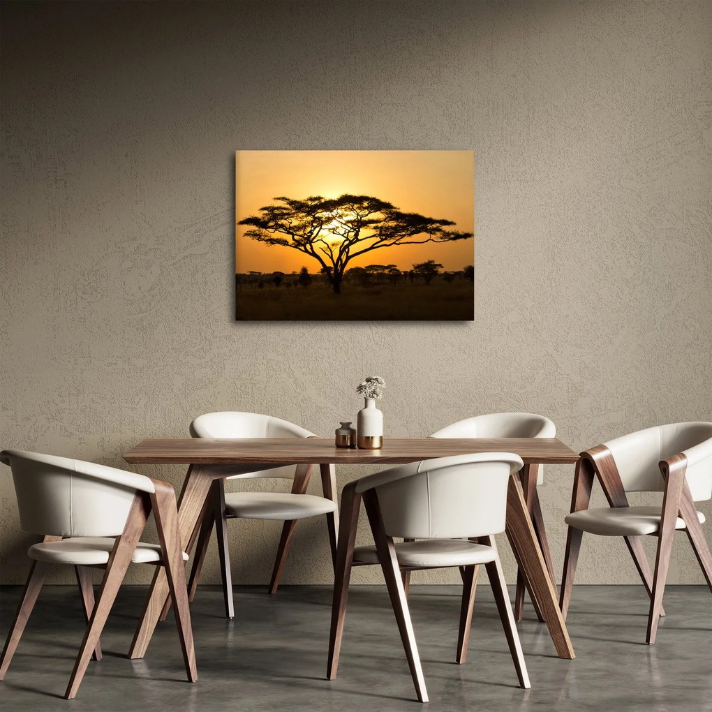 Kép - afrikai szavanna (70x50 cm)