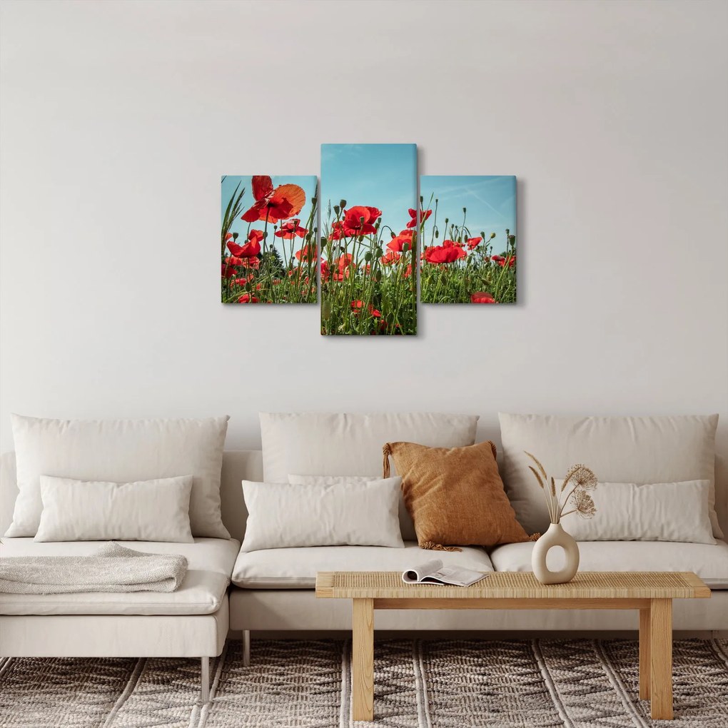 Kép - Pipacsos mező (90x60 cm)