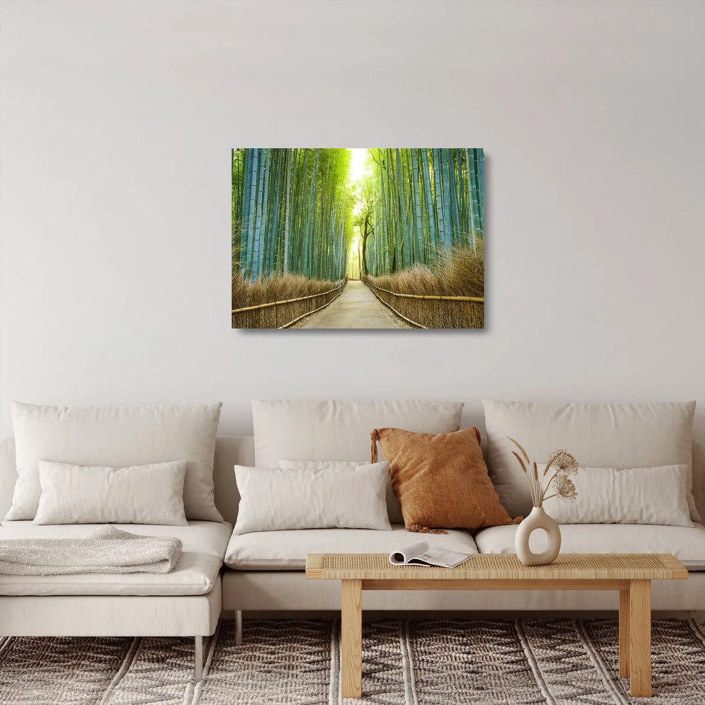 Üveg kép - Bambusz erdő (70x50 cm)