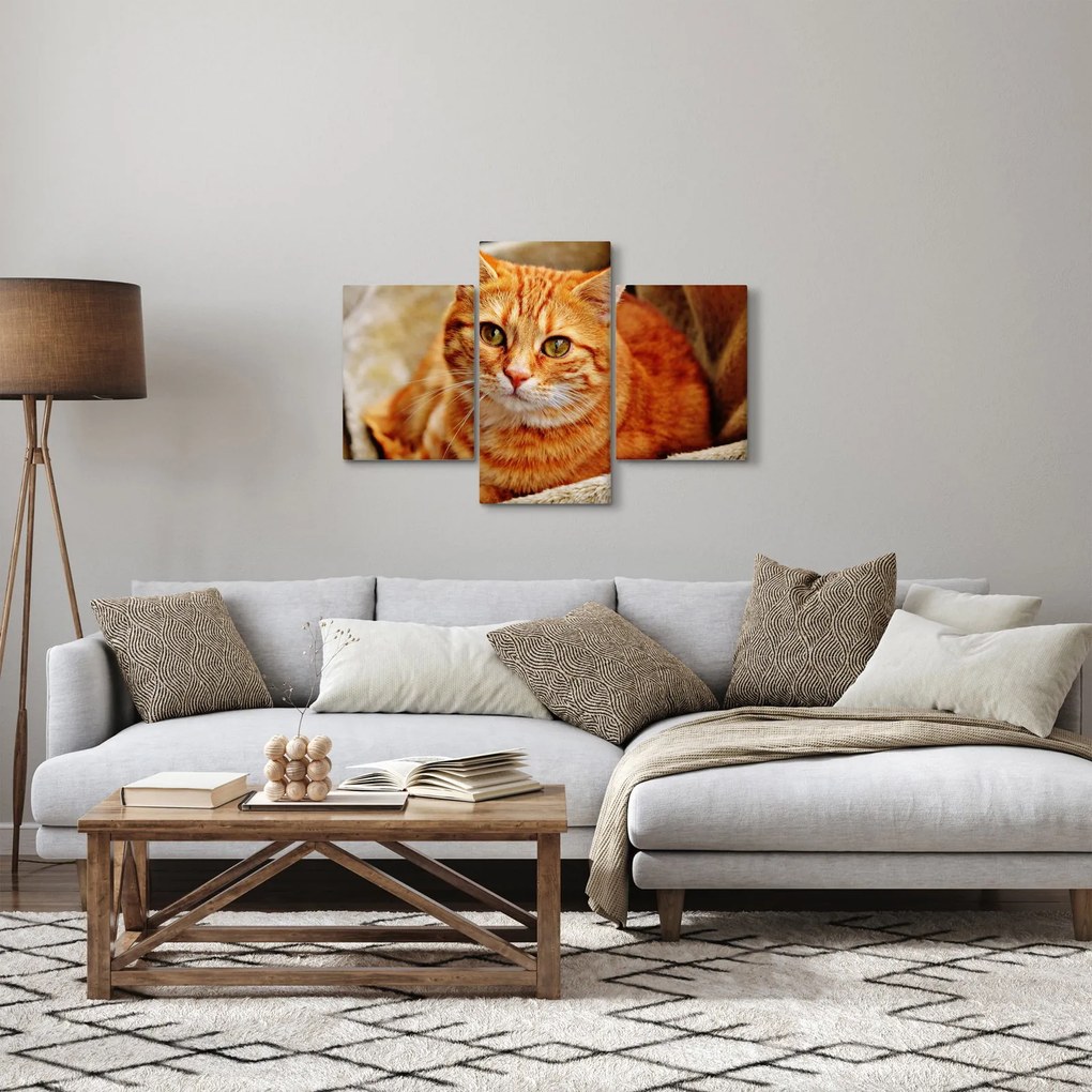 Egy fekvő macska képe (90x60 cm)