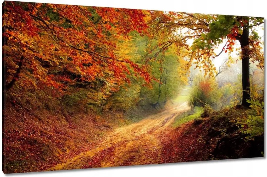 Vászonkép 120x70 Út az erdőben ősz