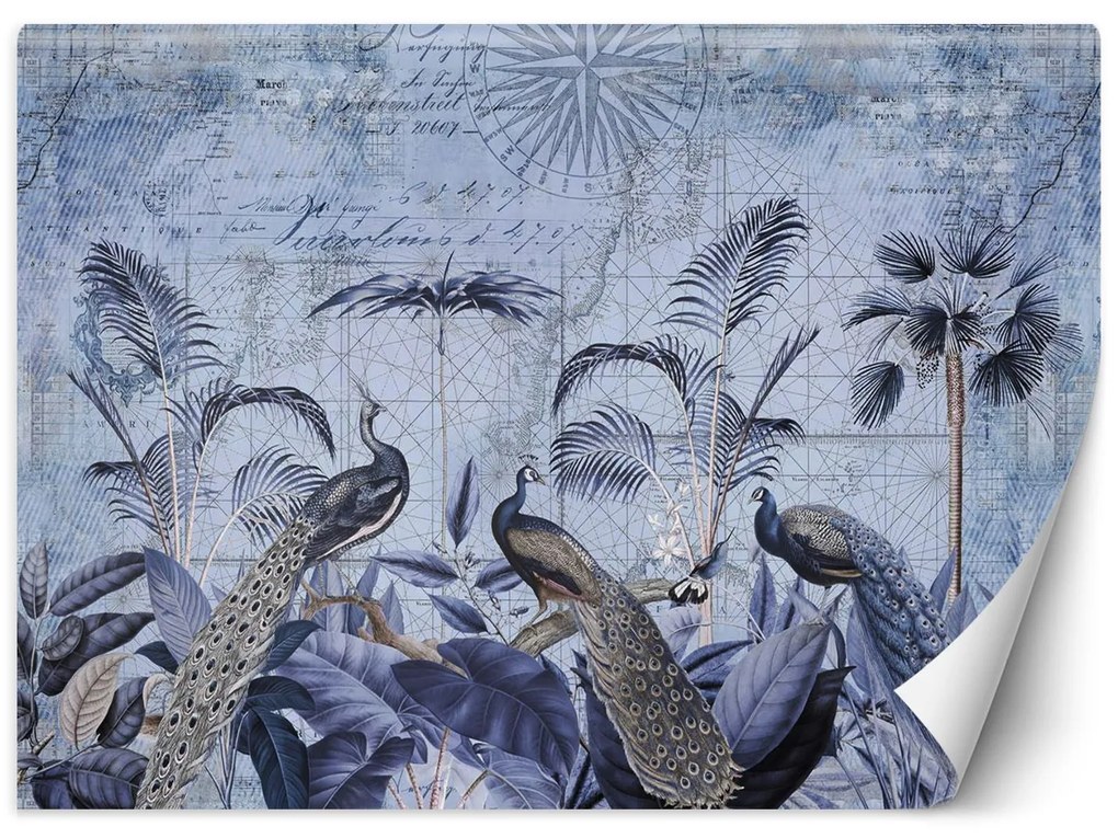 Gario Fotótapéta Pávak trópusi lila - Andrea Haase Anyag: Vlies, Méret: 100 x 70 cm
