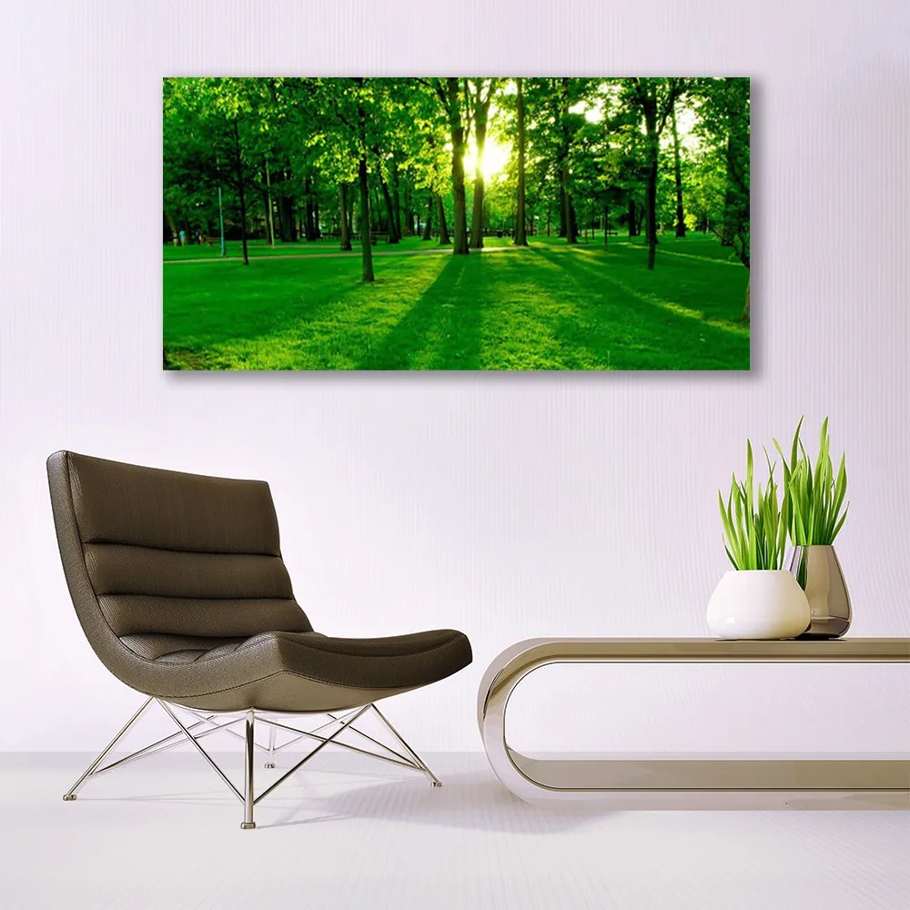 Akrilüveg fotó Forest Park Természet 100x50 cm