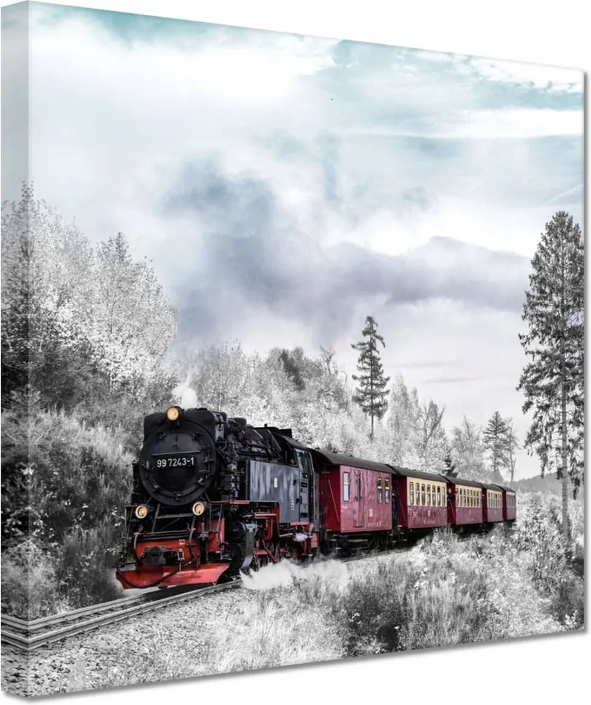 Vászonkép 20x20 Vonat és téli aura