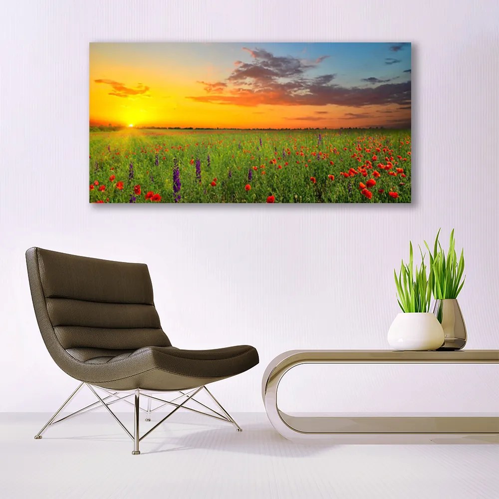 Akril üveg kép Sun mezei virágok Természet 100x50 cm
