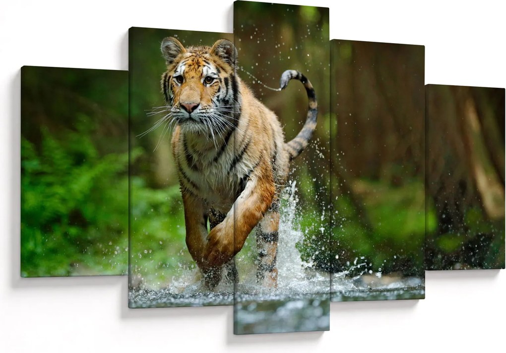 Futó tigris képe (150x105 cm)