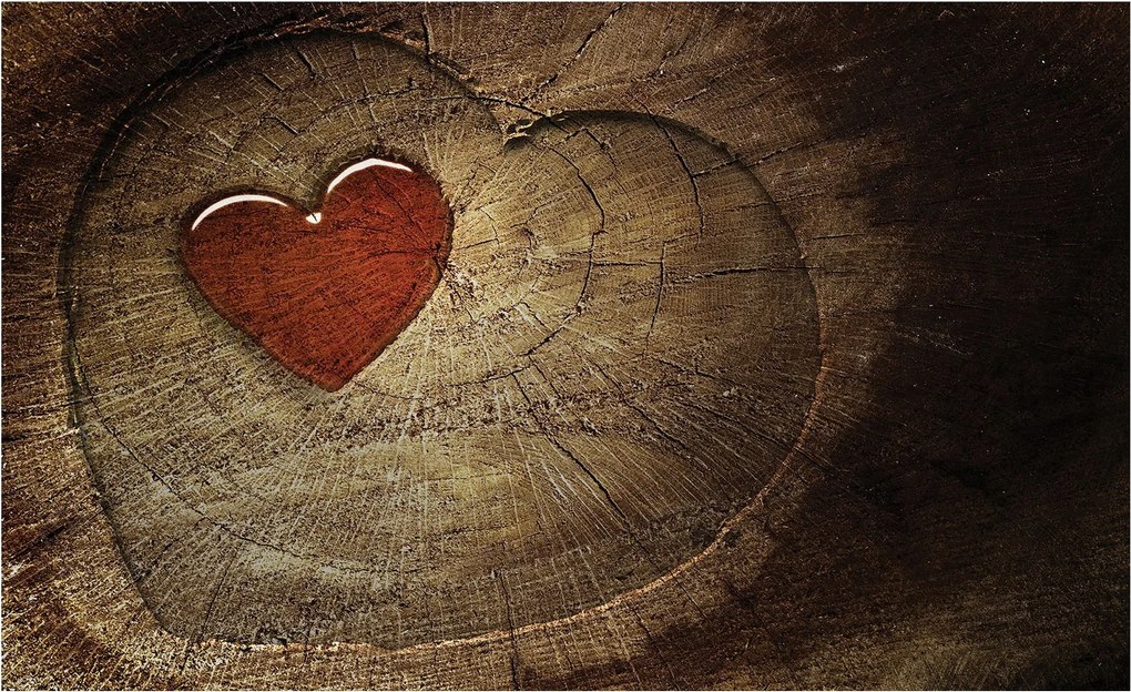 Fotótapéta Szív Fa Rusztikus Öko vinil 254x184 +ragasztó