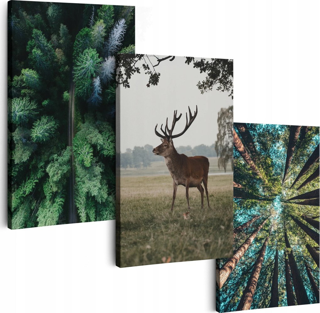 Vászonkép 150 cm **többféle minta** 3 Db Nappali Falikép