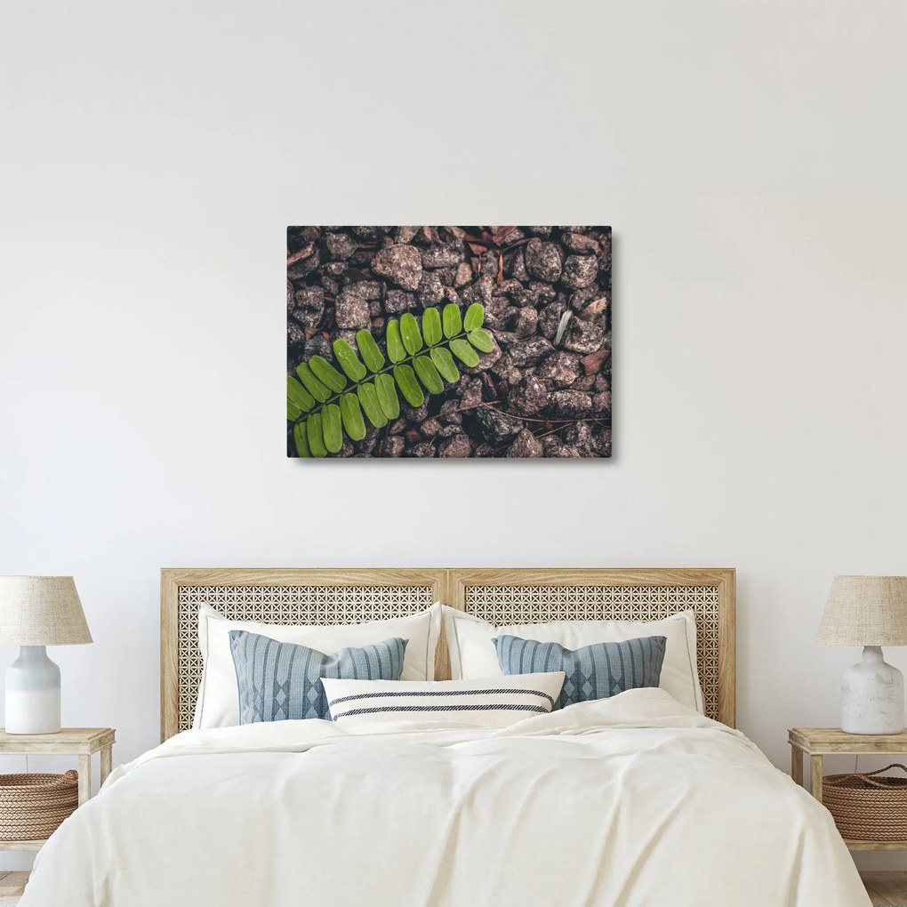 Zöld növények képe (70x50 cm)