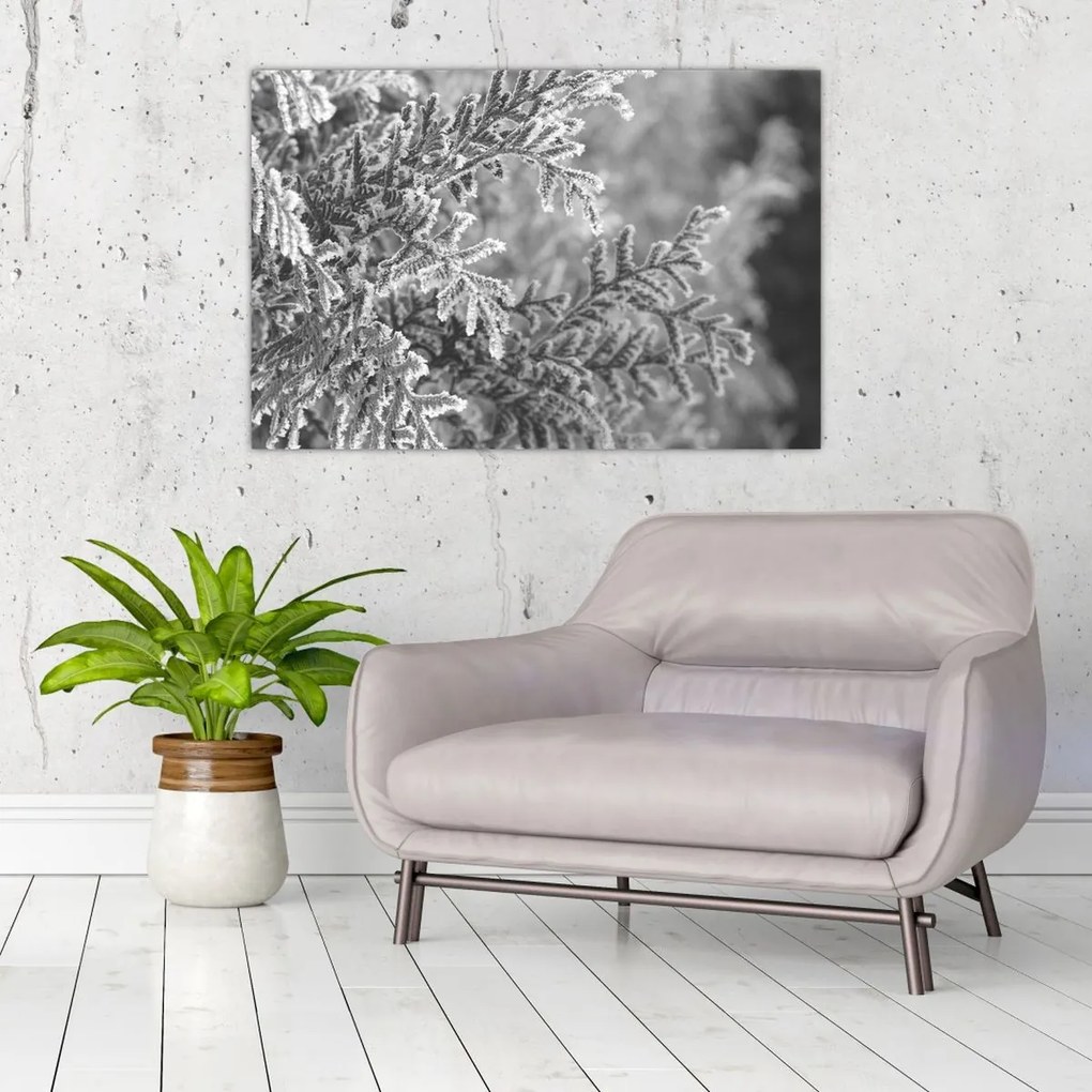 Kép - Lucfenyő erdő (90x60 cm)