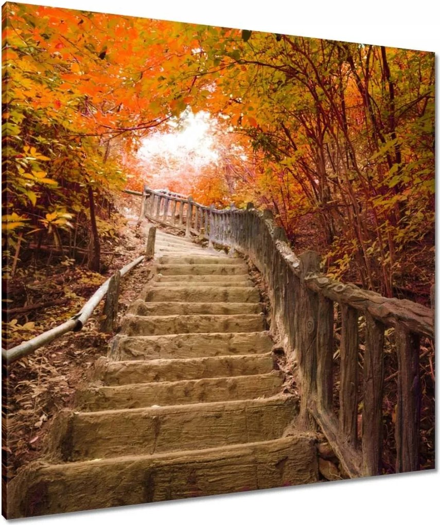 Vászonkép 80x80 Őszi séta Lépcsők