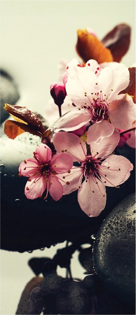 Fotótapéta Virágzó cseresznye Zen A tavasz és a pihenés harmóniája Spa 91x211 +ragasztó