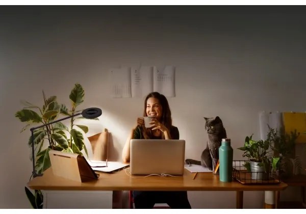 Ledvance - LED Dimmelhető lámpa csipeszes SUN@HOME LED/15W/230V CRI 95 Wi-Fi