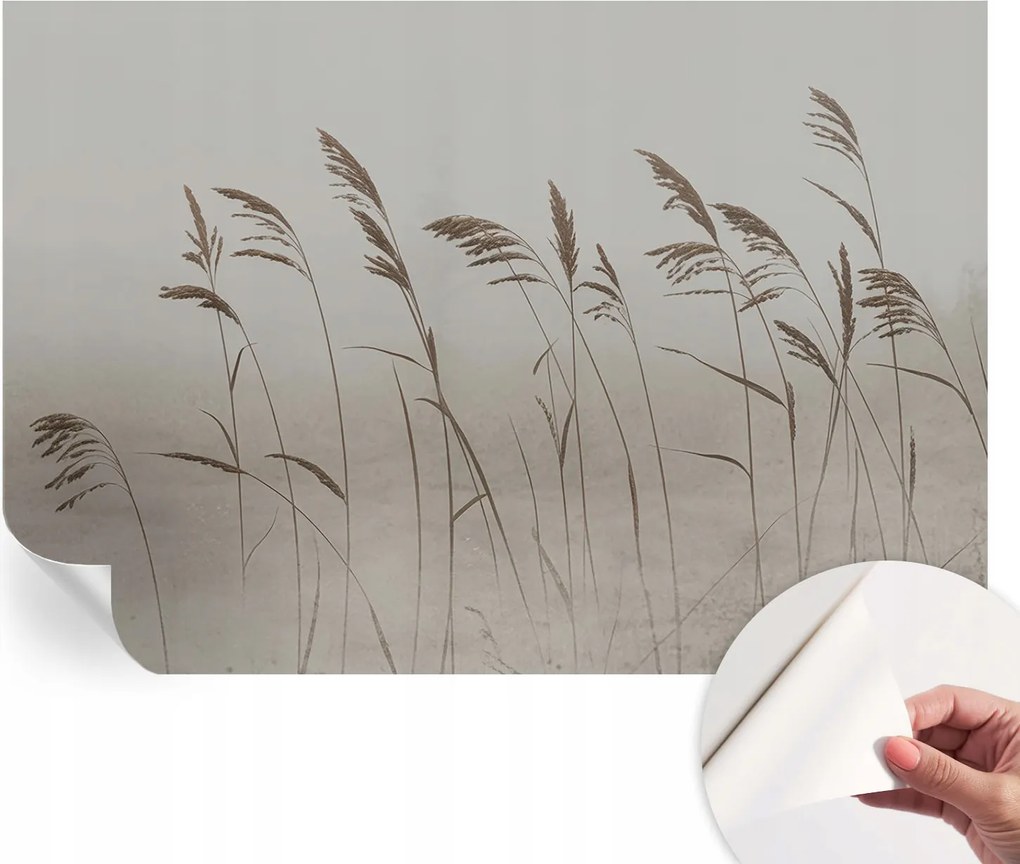 Öntapadós tapéta Fali furnér 3D hatás Fű a köd között 152x104 cm